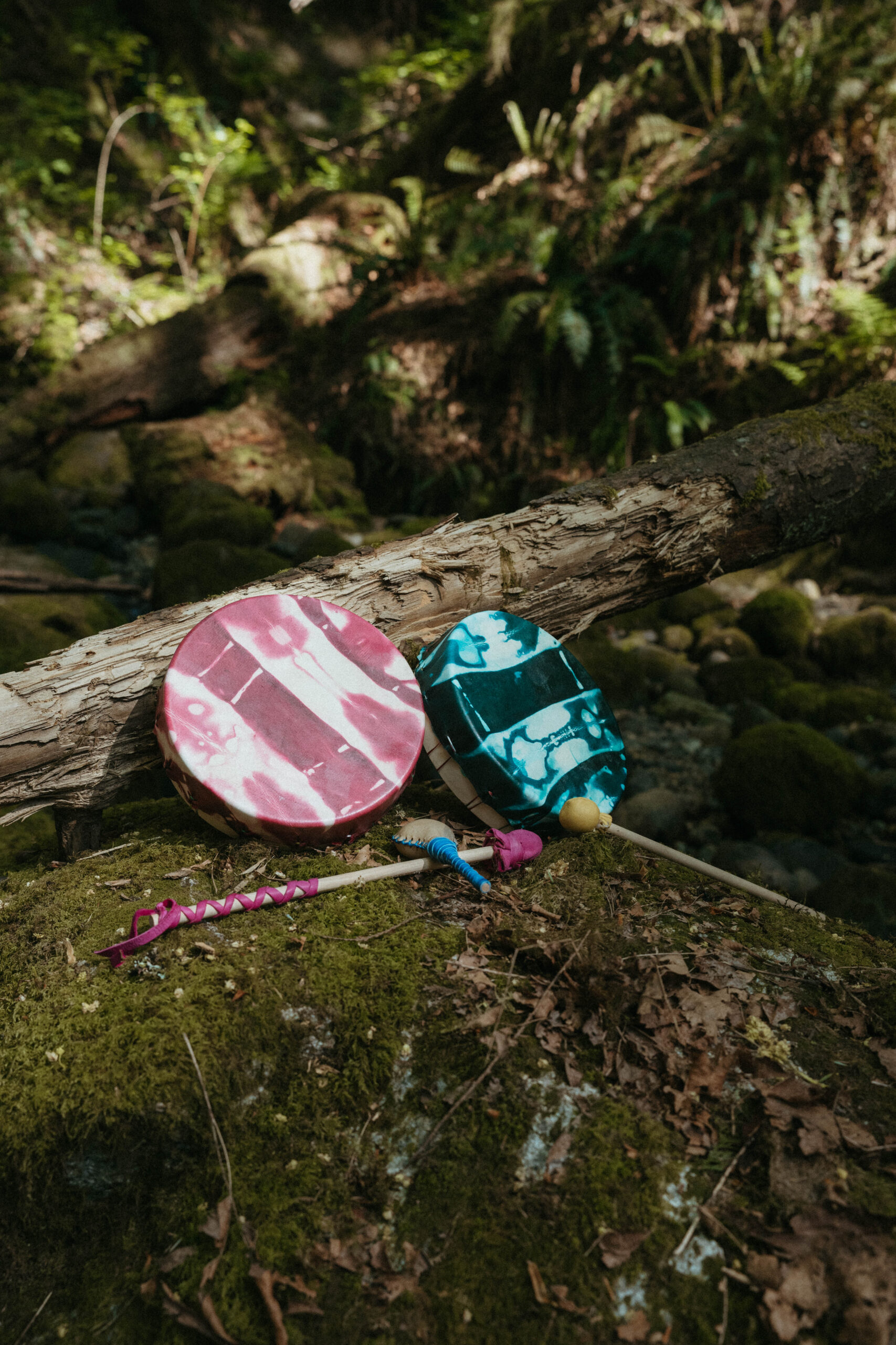 Two painted hand drums and drum beaters resting on a moss-covered log
